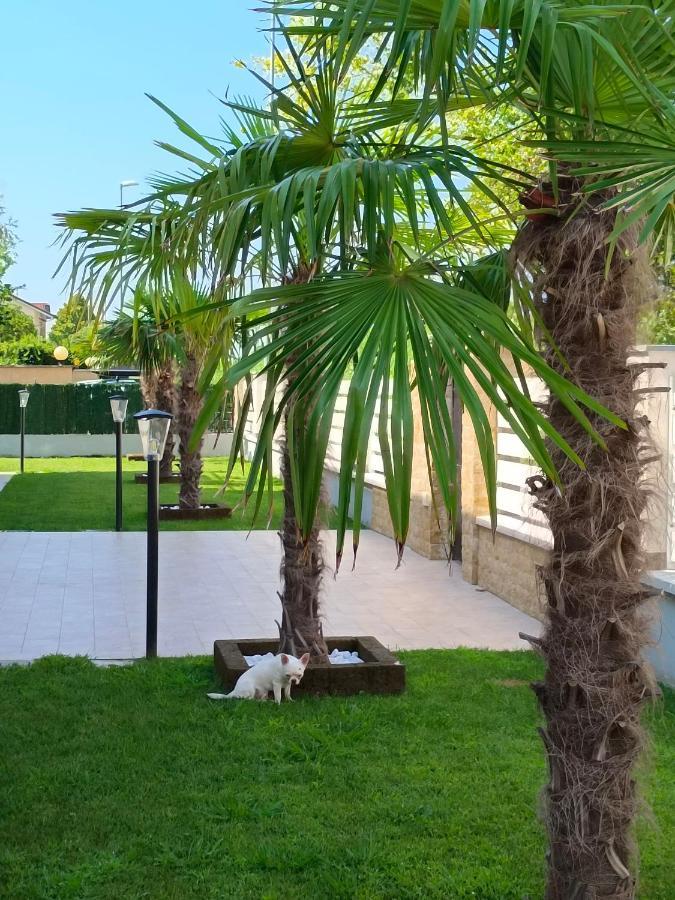 Residence Deamarina Marina di Massa Zewnętrze zdjęcie